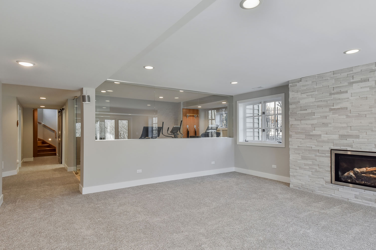 Elevated Basement Bonus Rooms — photo 5