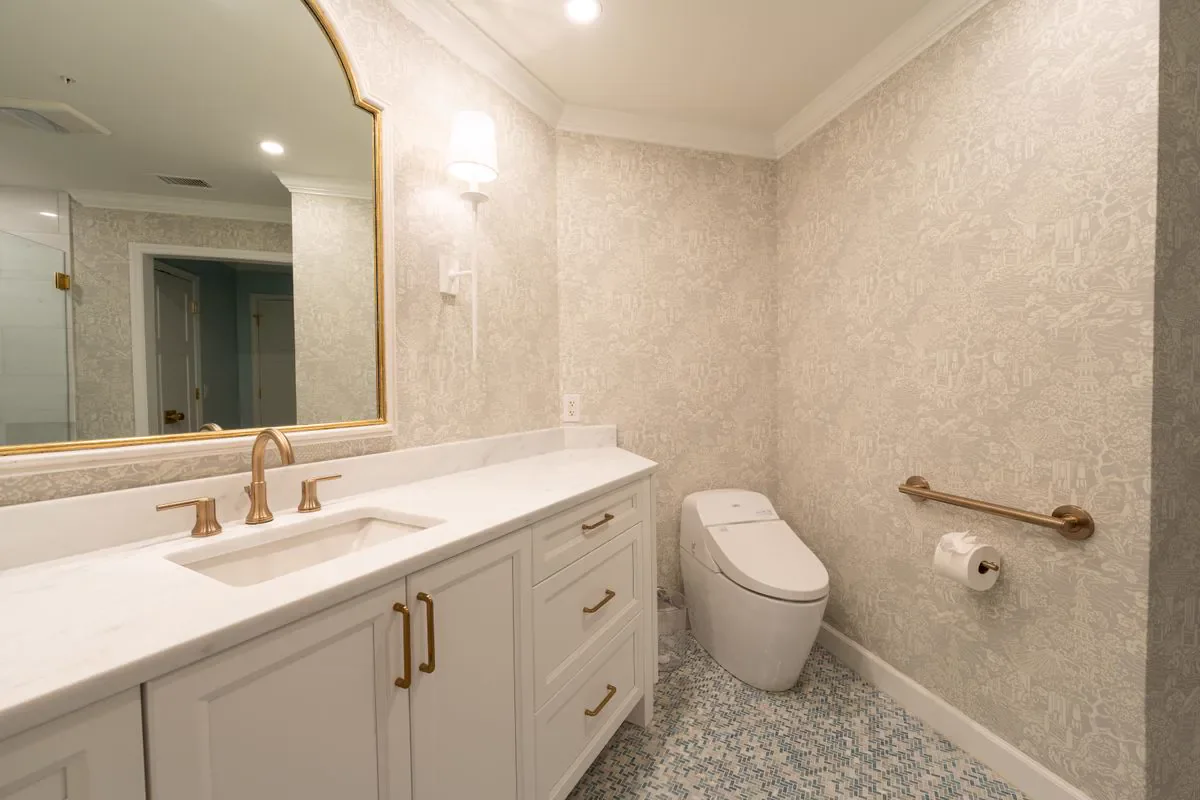Toilet Grab Bar