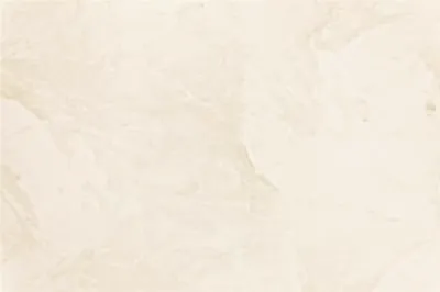 Silver White