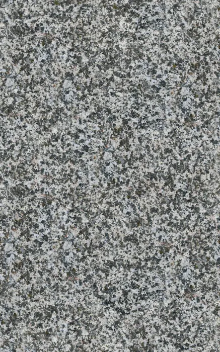 Salt & Pepper Granite