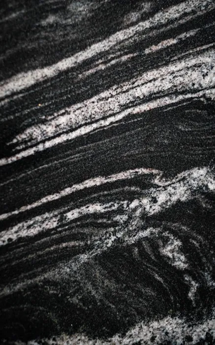 Black Veined