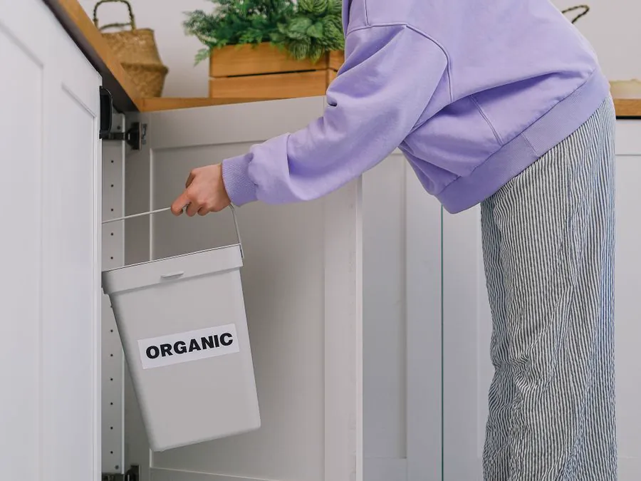 Trash & Recycling